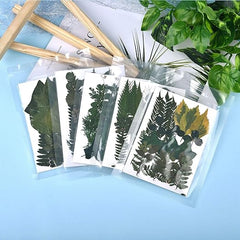 42 PCS Assorted Real Dried Pressed Leaves Natural Dry Leaves for Pressed Leaf Art Craft DIY ,14 Styles